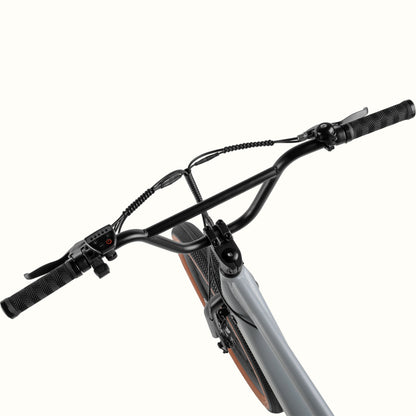 Retrospec Joe Rev BMX Electric Bike - 6025