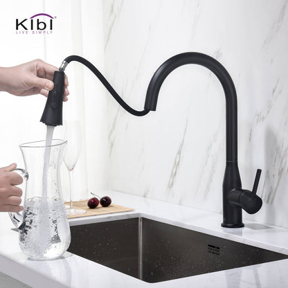 KIBI Napa Single Handle High Arc Pull Down Kitchen Faucet in Matte Black Finish - KKF2005MB