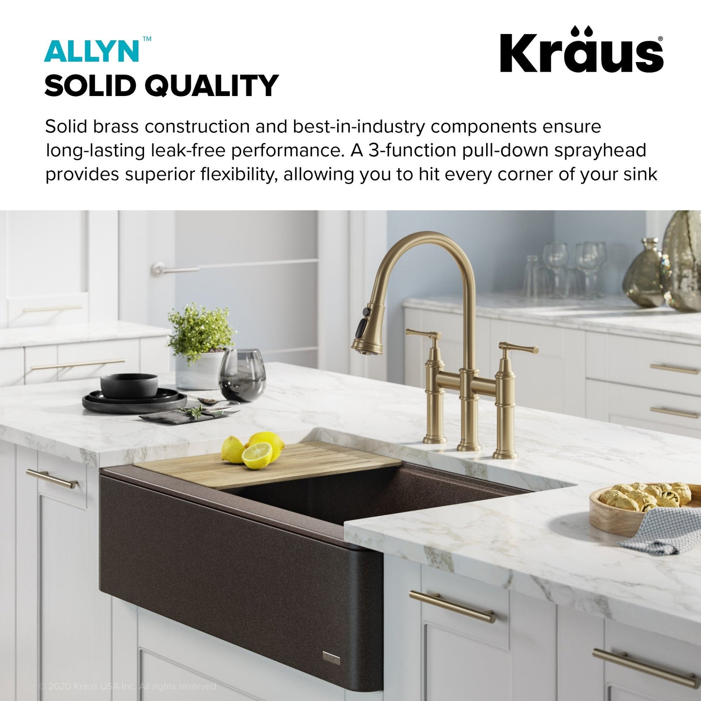 KRAUS Allyn Transitional Bridge Kitchen Faucet & Water Filter Faucet in Brushed Gold