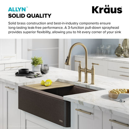 KRAUS Allyn Transitional Bridge Kitchen Faucet & Water Filter Faucet in Brushed Gold