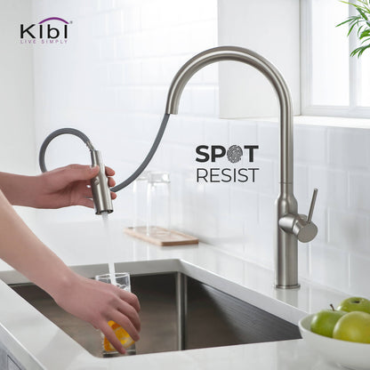 Kibi Hilo Single Handle High Arc Pull Down Kitchen Faucet in Brushed Nickel Finish - KKF2008BN