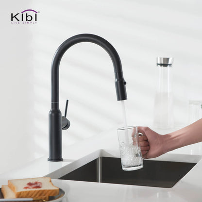 Kibi Hilo Single Handle High Arc Pull Down Kitchen Faucet in Matte Black Finish - KKF2008MB