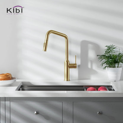 Kibi Macon Single Handle High Arc Pull Down Kitchen Faucet in Brushed Gold Finish - KKF2007BG