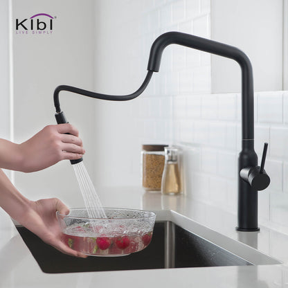 Kibi Macon Single Handle High Arc Pull Down Kitchen Faucet in Matte Black Finish - KKF2007MB