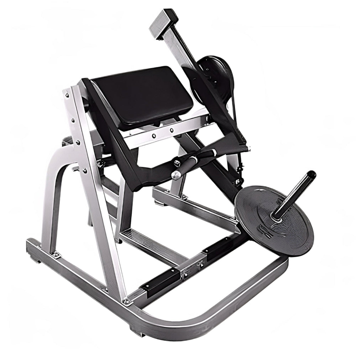 Muscle D Seated Arm Curl -  PL-P-BC