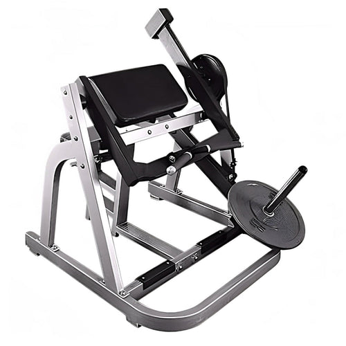 Muscle D Seated Arm Curl -  PL-P-BC