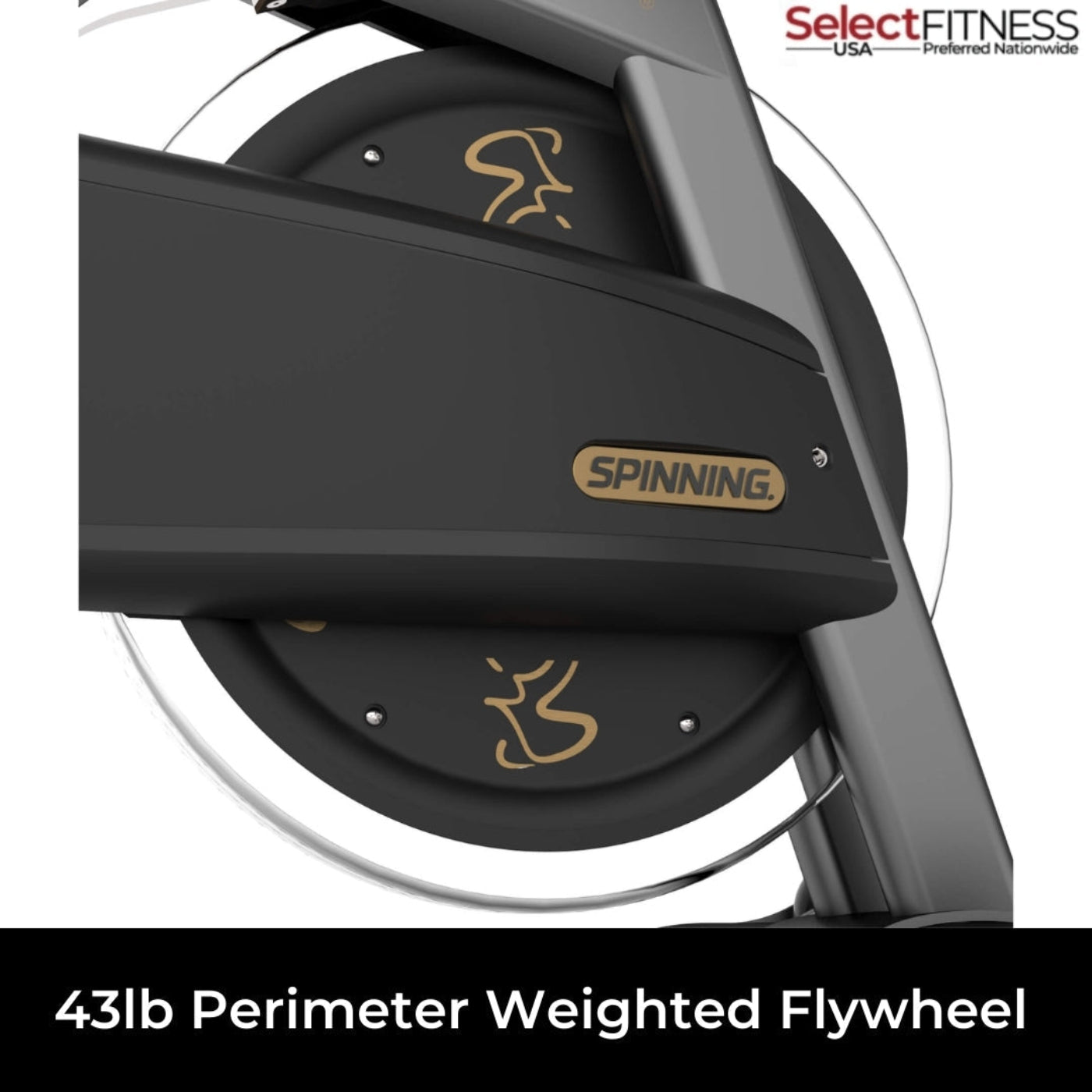Spinning Spin Bikes Spinning NXT Commercial Bike - Spinner Line -10-028