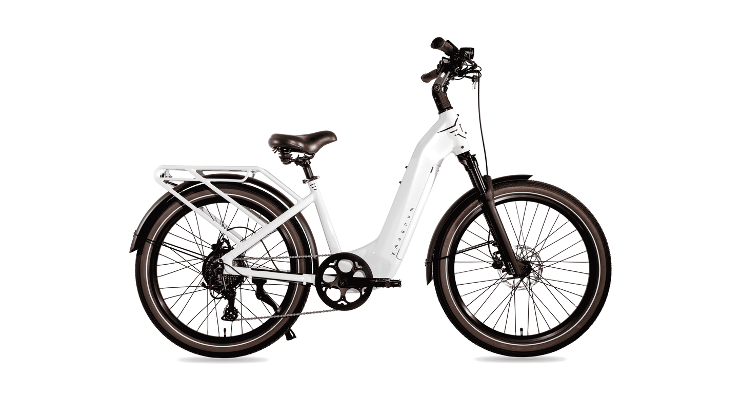 Melody CPO E-Bike