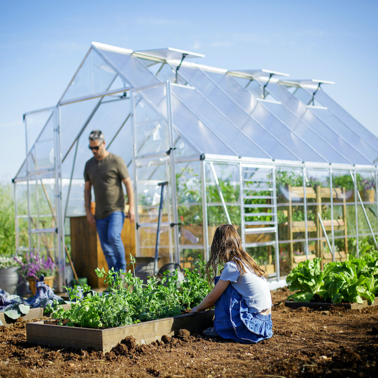 Palram - Canopia | Balance Greenhouse Kit With Clear 0.8mm Polycarbonate Glazing - HG6108G