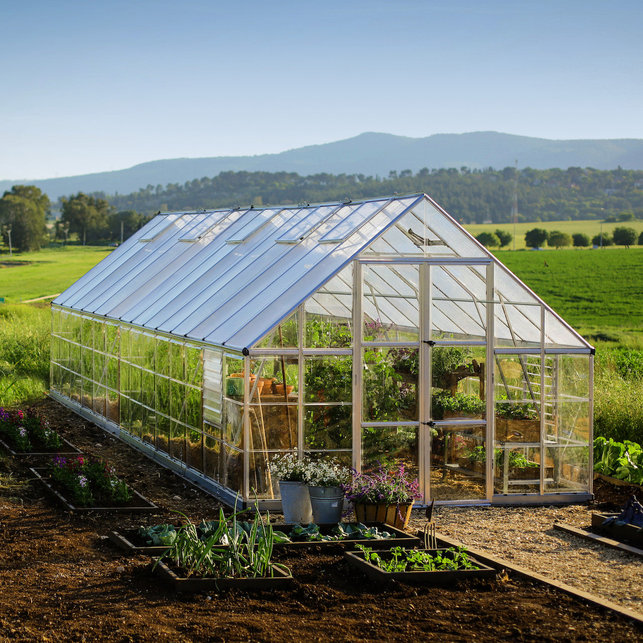 Palram - Canopia | Balance Greenhouse Kit With Clear 0.8mm Polycarbonate Glazing - HG6108G