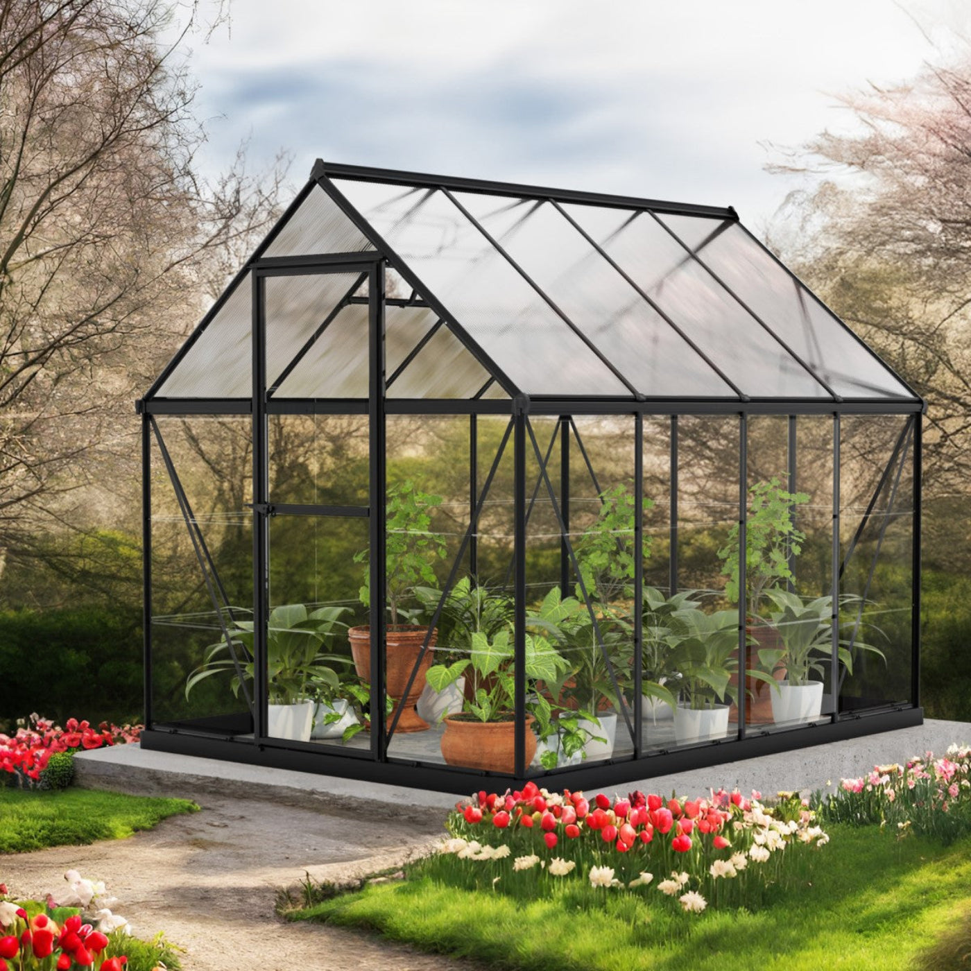 Palram - Canopia | Hybrid 6x8 ft - Black Frame With Polycarbonate Hybrid Panels - HG5508K