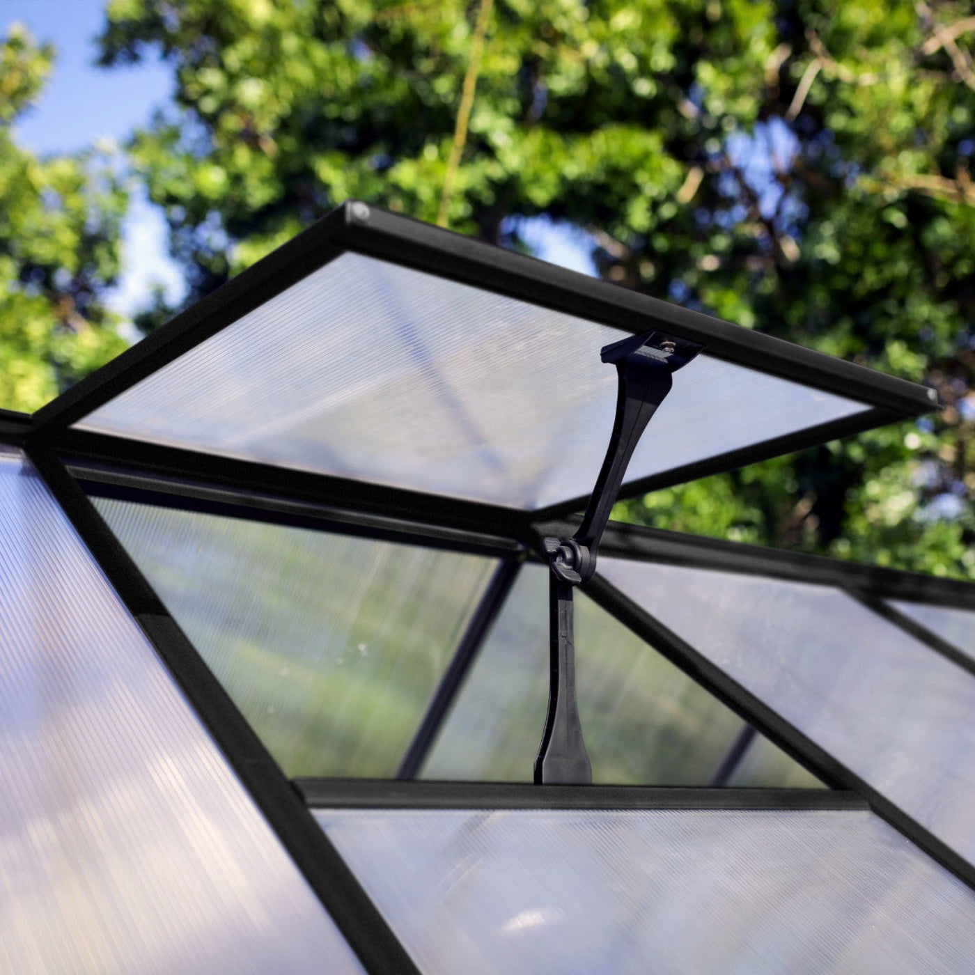 Palram - Canopia | Hybrid 6x8 ft - Black Frame With Polycarbonate Hybrid Panels - HG5508K