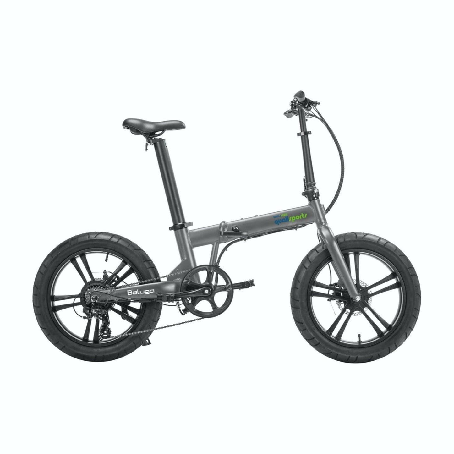 QualiSports BELUGA - WU-QSEB04-BIKE-BLACK
