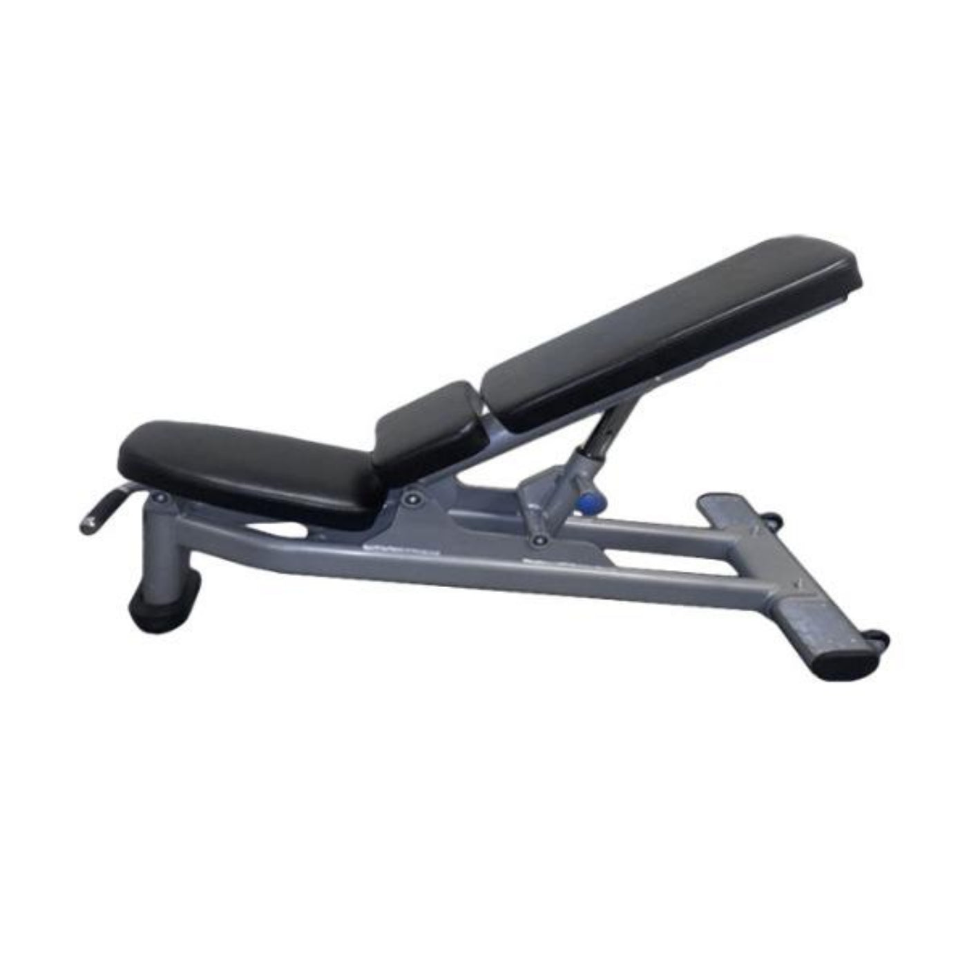 Muscle D Deluxe Adjustable Bench  - FW-DAB-B