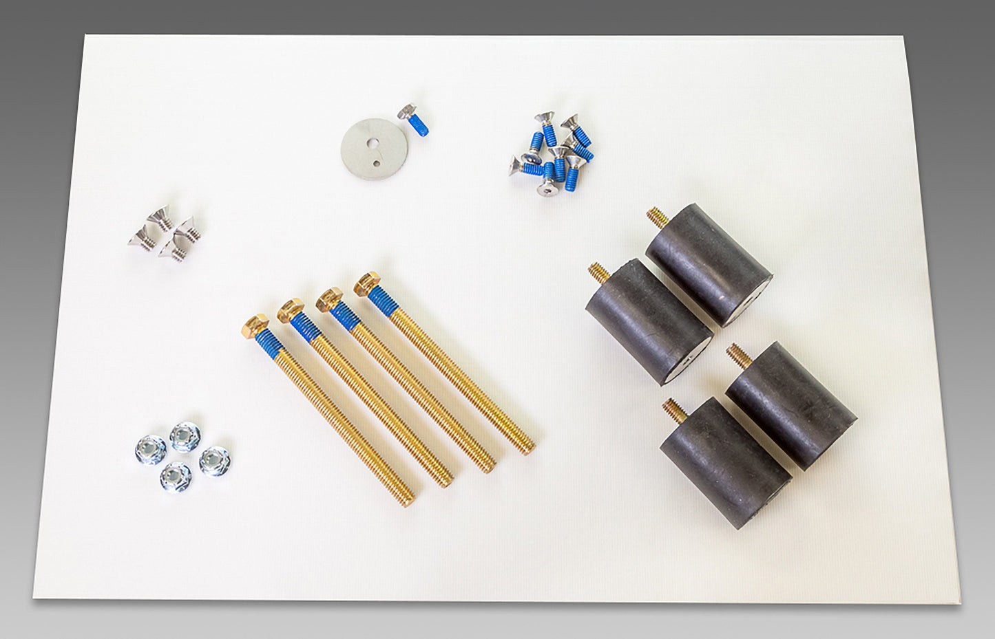 Square Scrub EBG-20/C PIVOT WEIGHT BOLT KIT - SS 142019 PVT
