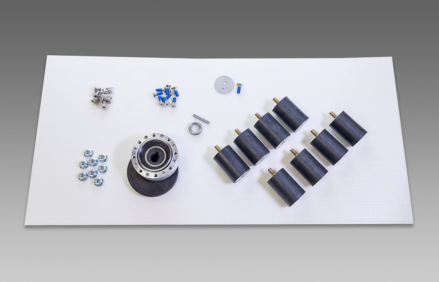 Square Scrub EBG-28 PIVOT ECCENTRIC REPAIR KIT -  SS 142802 PVT