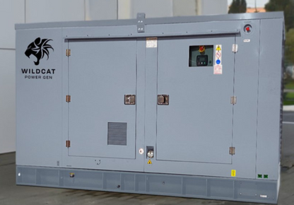 Aurora Generators 20kW Diesel Tier 4 Generator | Single/Three Phase  - RO0020D4KSLP
