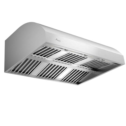 Awoco 48" Outdoor BBQ Vent Hood 18" High Type 304 Stainless Steel, 4 Speeds 2000 CFM, Dual Blowers, Adjustable LED Lights, 8” Round Top Vent - AWC-RH-WM-BBQ48