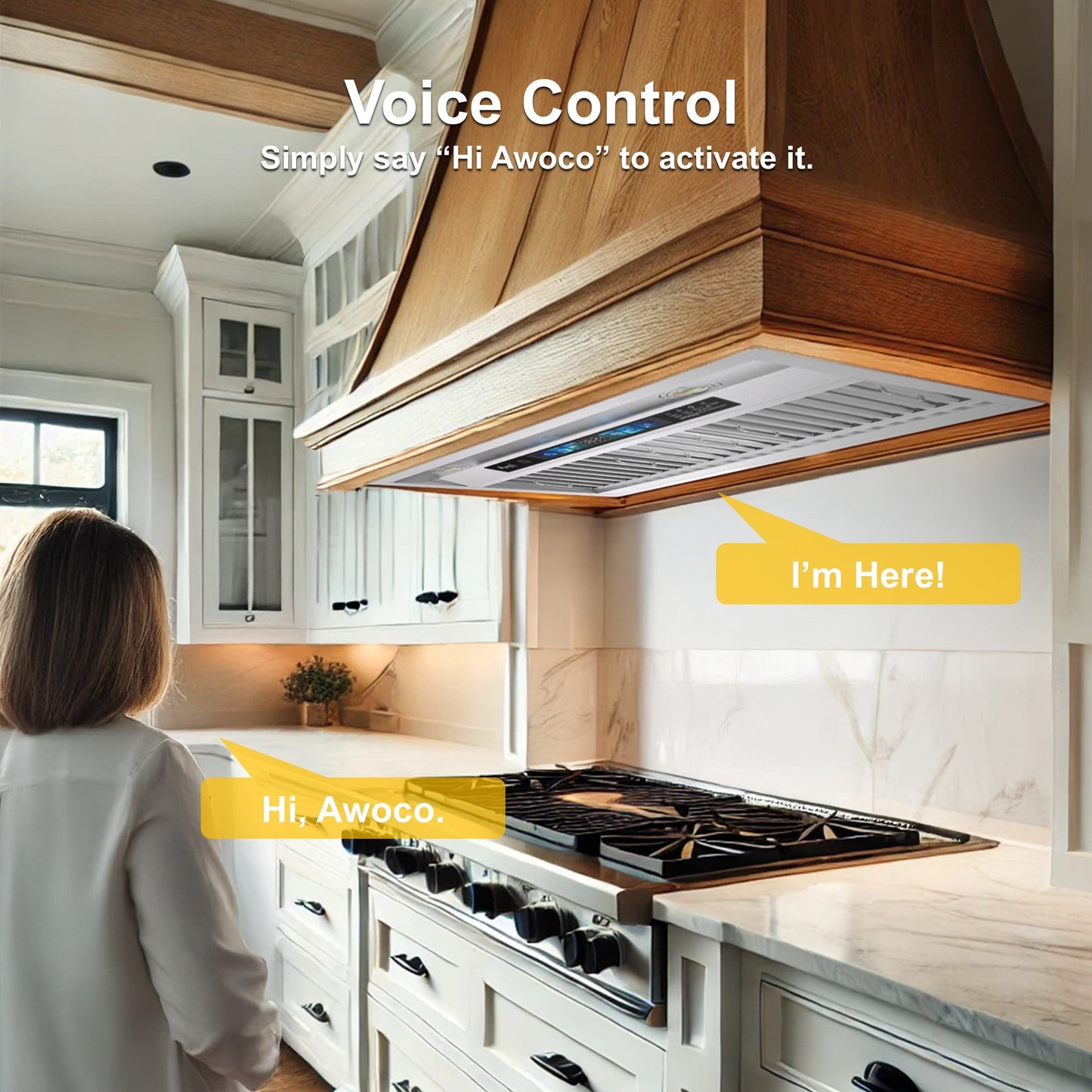 AWOCO RH-BQ-XV+8BLW Split Quiet Range Hood Insert Voice & Gesture Control 1000 CFM With 8” Blower Unit - RH-BQ-XV30+RH-SP08-BLW