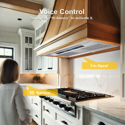 AWOCO RH-BQ-XV+8BLW Split Quiet Range Hood Insert Voice & Gesture Control 1000 CFM With 8” Blower Unit - RH-BQ-XV30+RH-SP08-BLW