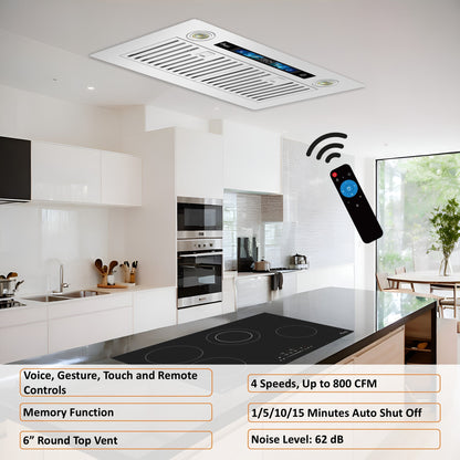 AWOCO  RH-IT06-V Ceiling Mount Range Hood - Split Insert - 800CFM - 6" Blower - RH-IT06-V30-COLD