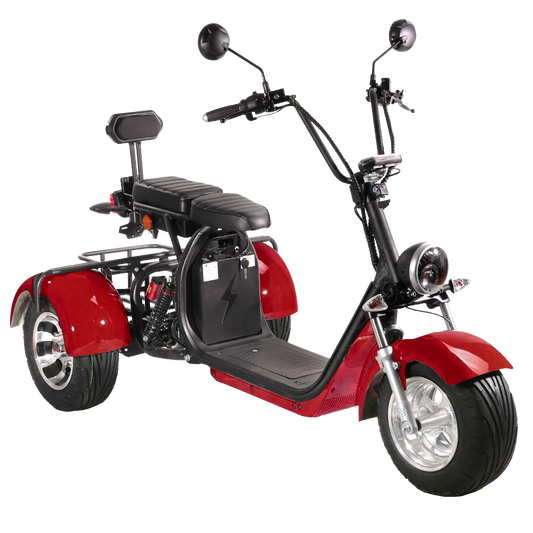 SoverSky Electric Mobility Adult Trike 2000w T7.1/T7.2