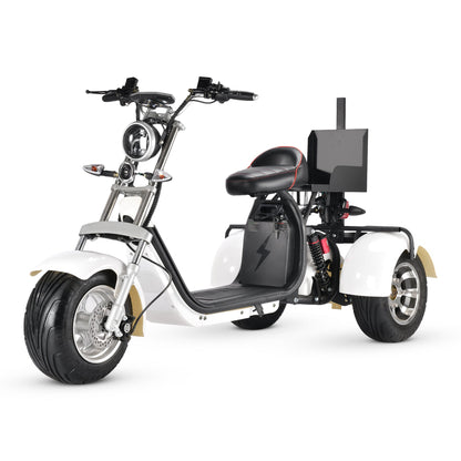 T7.3 Electric Fat Tire Golf Trike SoverSky