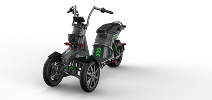 4000w Three Wheeled Motorcyle  E-Trike 50Ah Li-Battery SoverSky T100