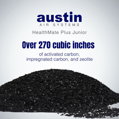 Austin Air HealthMate Plus Junior Filter - FR250B