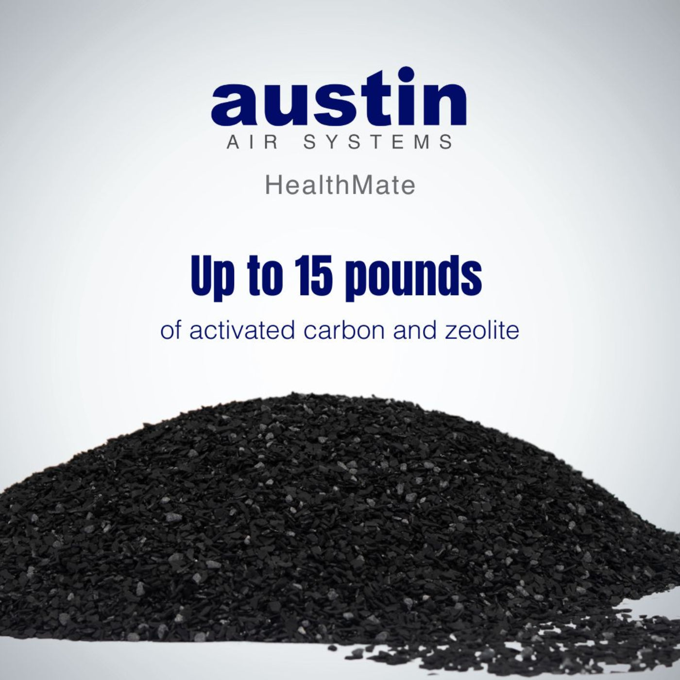 Austin Air HealthMate Filter - FR400B