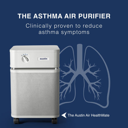 Austin Air HealthMate - B400C1