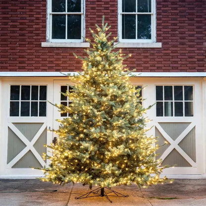 Park Hill Collection Tree Lot 12' Park Hill Blue Spruce Christmas Pine Tree LED Lights - XPQ82167