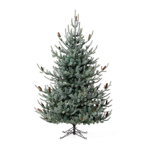 Park Hill Collection Tree Lot 7.5' Park Hill Blue Spruce LED Clear/Multi-Color Option - XPQ82169