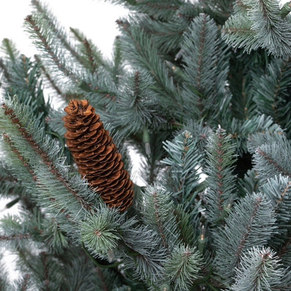 Park Hill Collection Tree Lot 7.5' Park Hill Blue Spruce LED Clear/Multi-Color Option - XPQ82169