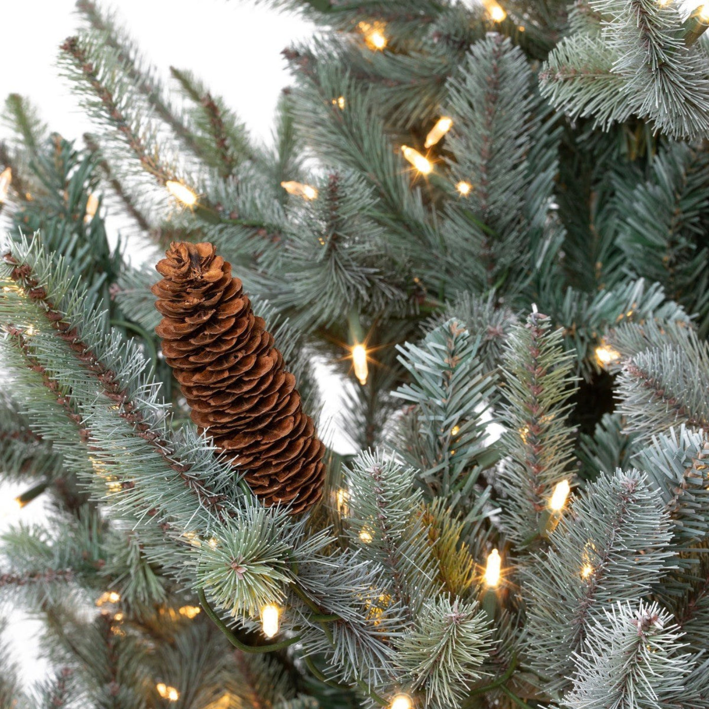 Park Hill Collection Tree Lot 7.5' Park Hill Blue Spruce LED Clear/Multi-Color Option - XPQ82169