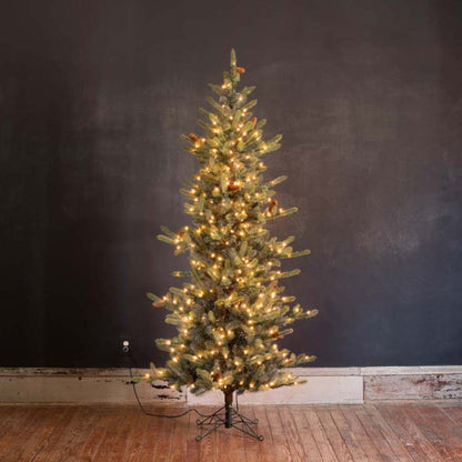 Park Hill Collection Tree Lot 7.5' Park Hill Slim Line Blue Spruce LED Lights - XPQ82170