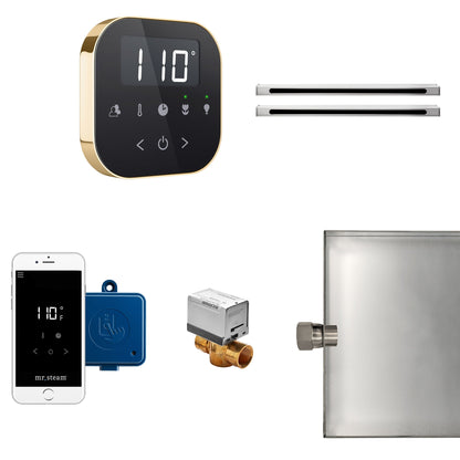 Mr. Steam AirButler Max Linear Package Black Polished Brass - ABUTLERLXBPB