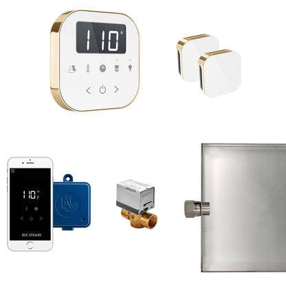Mr Steam AirButler Max Package White Polished Brass - ABUTLERXW-PB