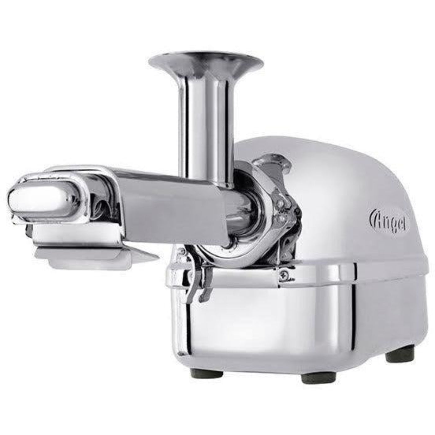 Angel Juicer 5500 Twin Gear Stainless Steel Juicer with Soft Fruit Housing Filter - ANGELJUICER_5500_WITH_FILTER