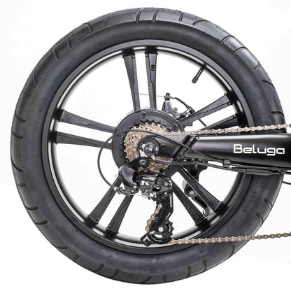QualiSports BELUGA - WU-QSEB04-BIKE-BLACK