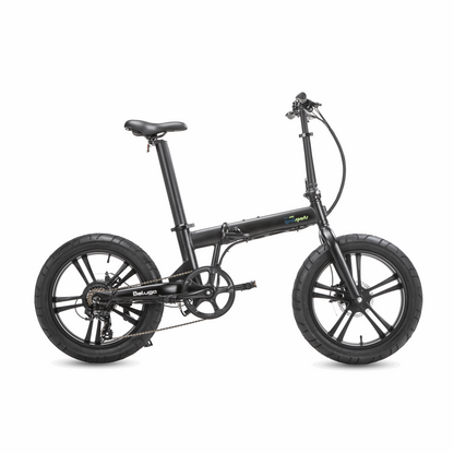 QualiSports BELUGA - WU-QSEB04-BIKE-BLACK