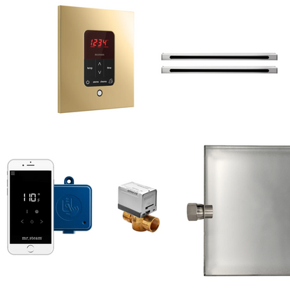 Mr Steam  Butler Max Linear Package Square Polished Brass - BUTLERLXSPB