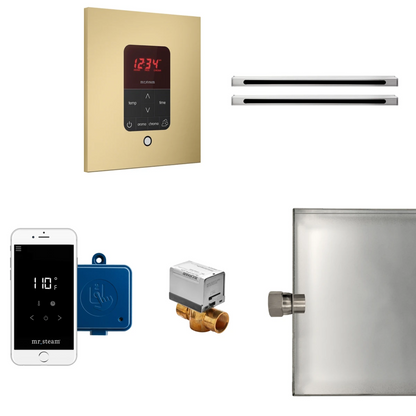 Mr Steam  Butler Max Linear Package Square Satin Brass - BUTLERLXSSB