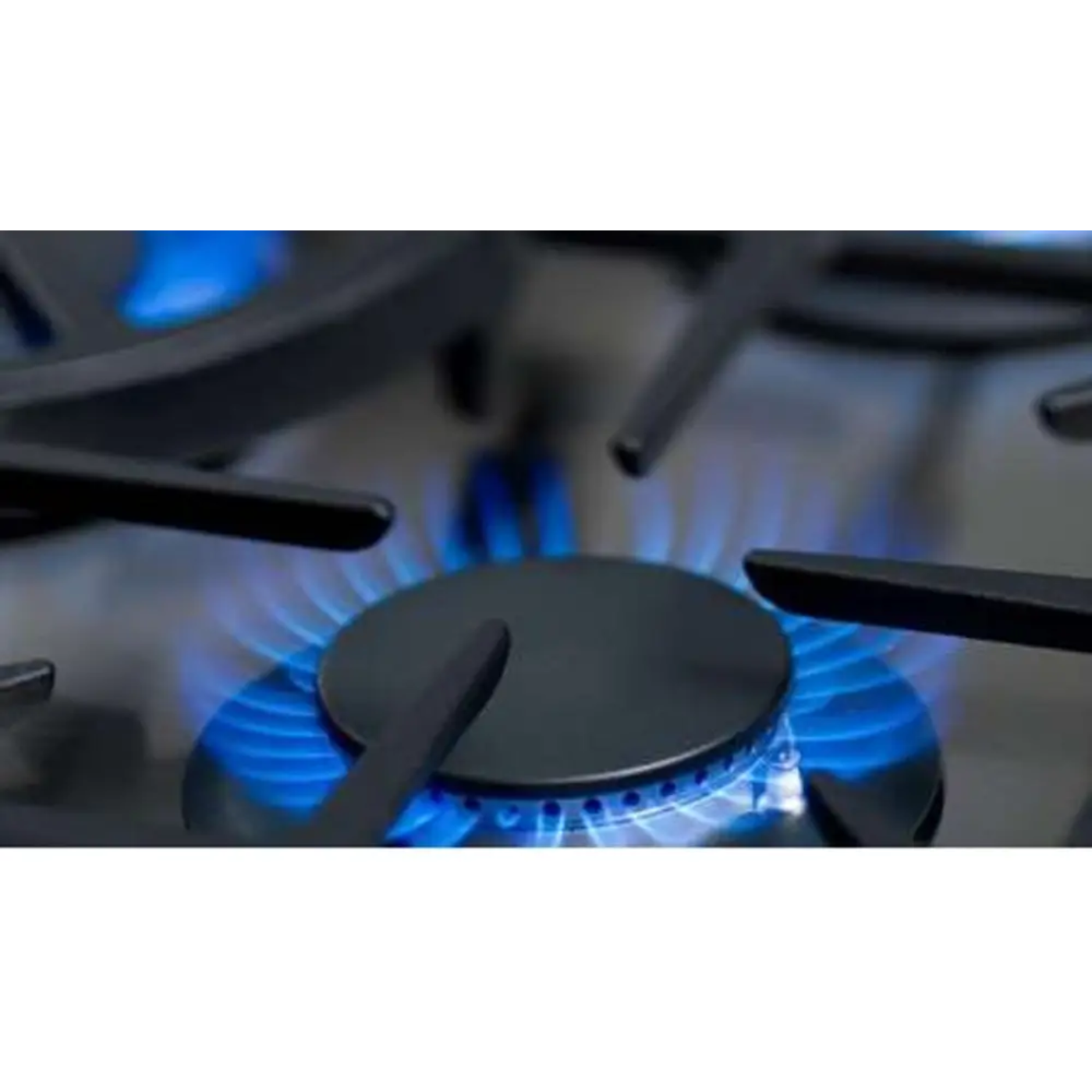Capital 30" Precision Gas Range, 5 Sealed Burners, Wok Burner - MCR305N