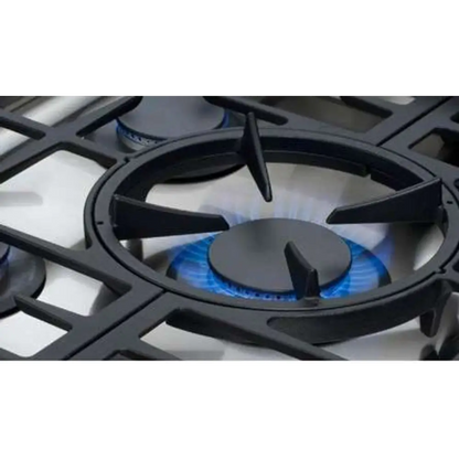Capital 30" Precision Gas Range, 5 Sealed Burners, Wok Burner - MCR305N