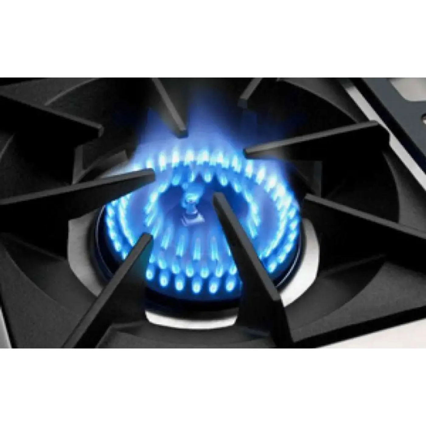Capital 48" Precision Self Clean Gas Range, 4 Sealed Burners, Griddle - GSCR484GN
