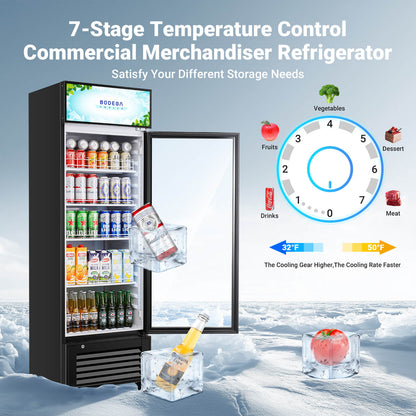 BODEGAcooler Commercial Glass Door Display Refrigerator Merchandiser 9cu.ft