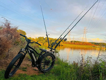 Himiway D3(Cruiser) / Long Range Fat Tire Electric Bike - HIMIWAY-CRUISER-05