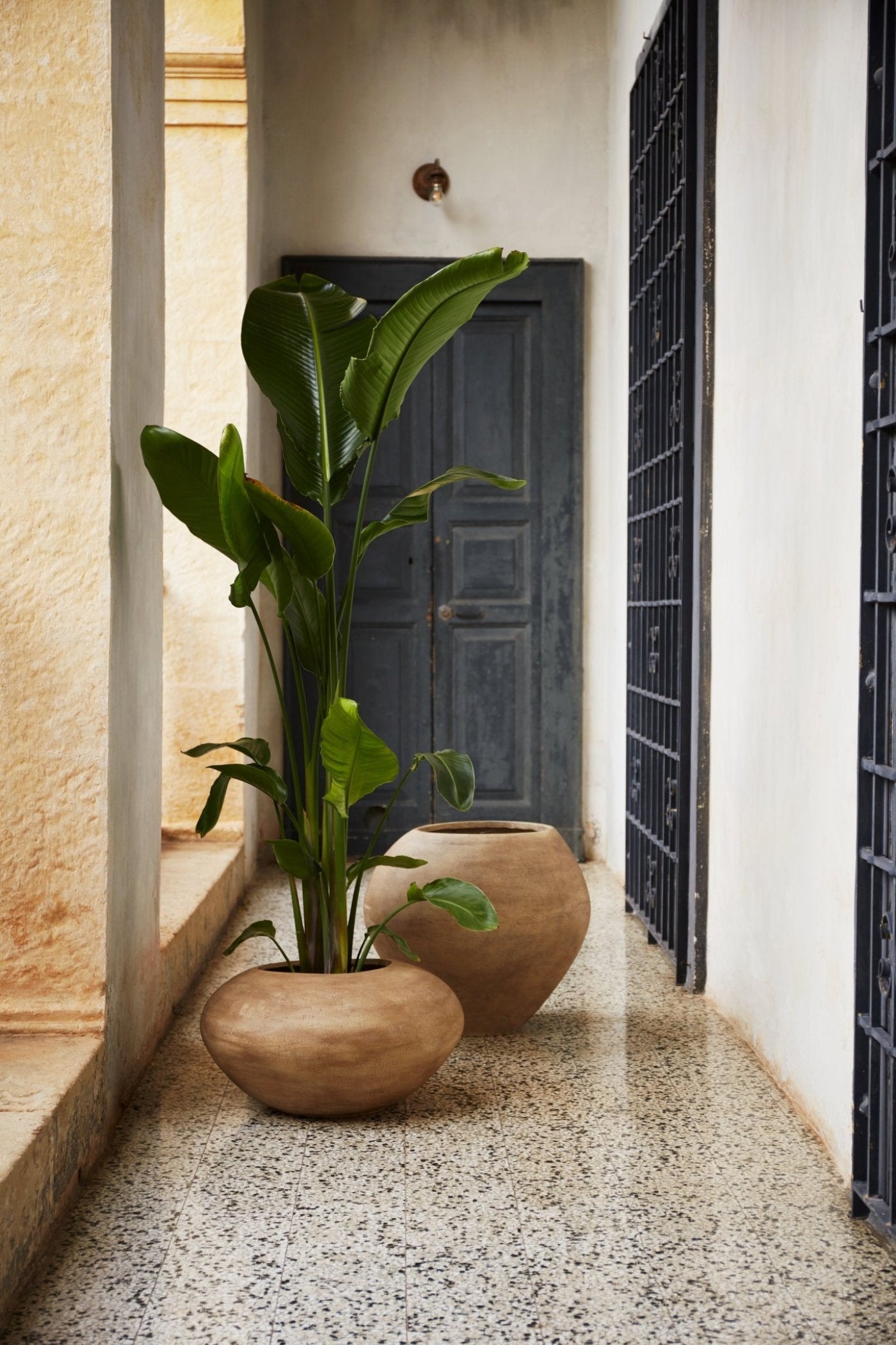 Dodu Pot - 1104267526