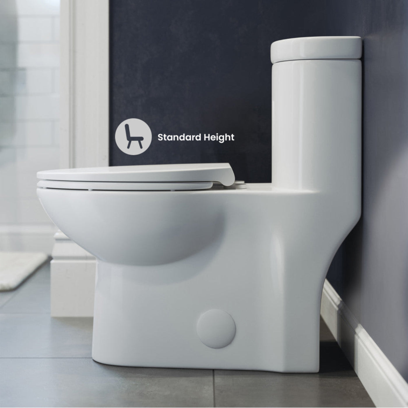 Swiss Madison Sublime One Piece Elongated Toilet Dual Flush, Brushed Gold Hardware 1.1/1.6 gpf - SM-1T205HG